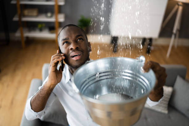Best 24/7 water damage repair  in Lolo, MT