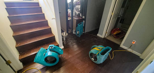 Best 24-hour water damage restoration  in Lolo, MT