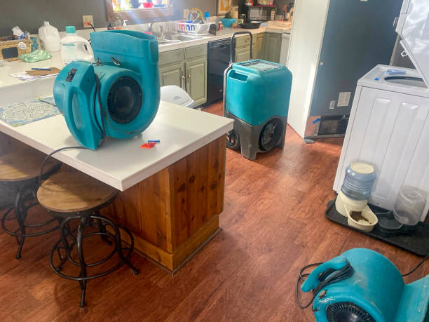 Reliable Lolo, MT Water damage restoration Solutions
