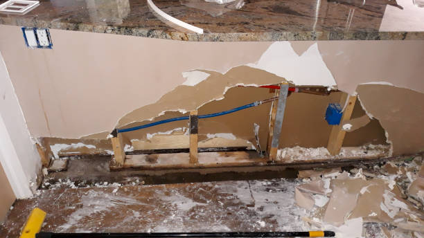 Best Carpet water damage restoration  in Lolo, MT