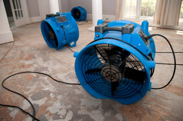 Lolo, MT Water damage restoration Company