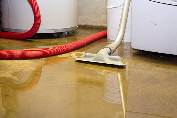 Best Water damage restoration near me  in Lolo, MT