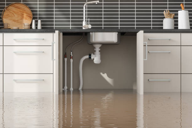 Best Water damage restoration near me  in Lolo, MT