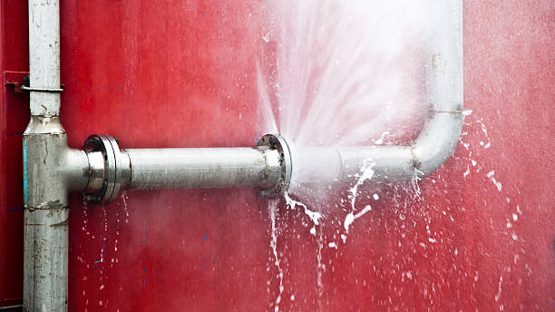 Best Basement water damage restoration  in Lolo, MT